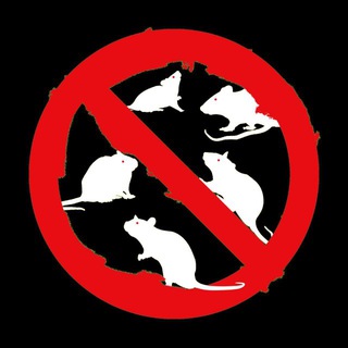 Telegram profile photo for Original Native Bang