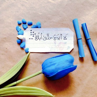 Telegram profile photo for لَـا أَبْـرَحُ حَـتَّـىٰ أَبْـلُـغَ🩵