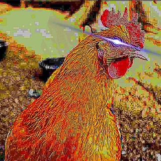 Telegram profile photo for Ecce Pollo