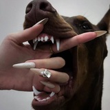 Telegram profile photo for โข๐ช๐๐๐๐๐
๐๐๐__๐๐โข
