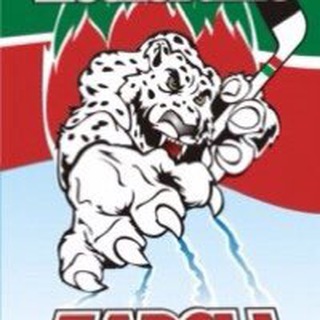 Telegram profile photo for Московские Барсы - фан-клуб ХК Ак Барс в Москве