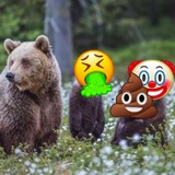 Telegram profile photo for GMC live | дельта-нейтральная братва