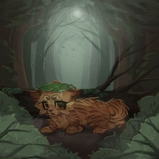 Telegram profile photo for maiklazz in water lilies🪷