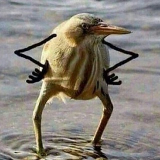 Telegram profile photo for А что происходит-то?!