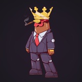 Telegram profile photo for Daily Combo πΎ