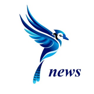 Telegram profile photo for SoykaSoft | оцифровка бизнеса для селлеров 🐦