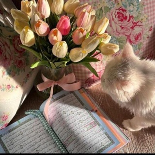 Telegram profile photo for طـمـأنِـينـة.