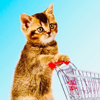 Telegram profile photo for СКИДОНЧИК 🛍️ Wildberries 🟣 Ozon