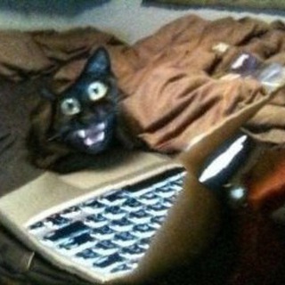 Telegram profile photo for Wtf iz diz