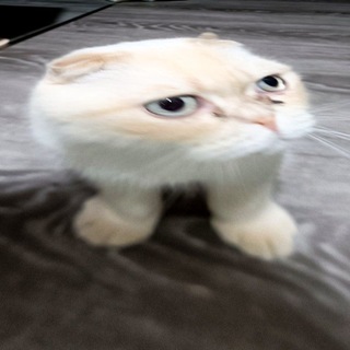 Telegram profile photo for просто абобус