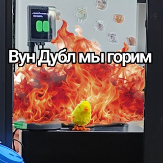 Telegram profile photo for Будни степана