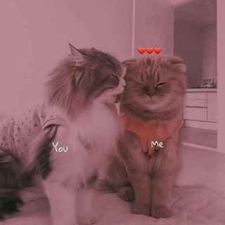 Telegram profile photo for ۤ؏ـآلمـيِٰہ🧸🔐؛