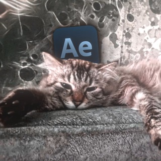 Telegram profile photo for Фрейм