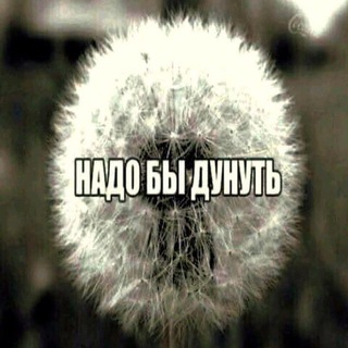 Telegram profile photo for Место для курения🚭
