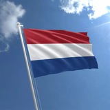 Telegram profile photo for Dutch lessons