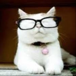 Telegram profile photo for Catturd™️