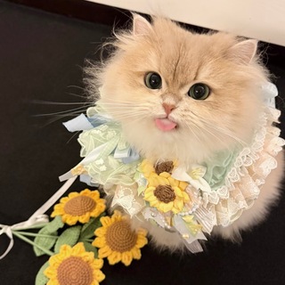 Telegram profile photo for 👙台灣外送茶|全台外約預約名單