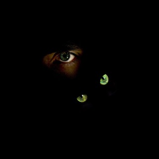Telegram profile photo for Сварщик и Журналист
