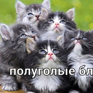 Telegram profile photo for Уголок с вайфу