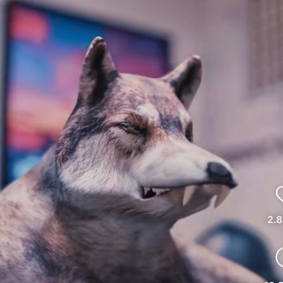 Telegram profile photo for Волки