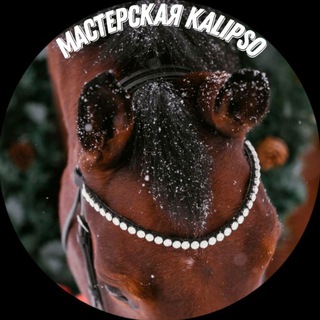 Telegram profile photo for Калипсо - мастерская по изготовлению амуниции 🐴❤