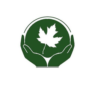 Telegram profile photo for Chinar چینار