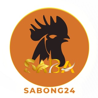 Telegram profile photo for SB24 Official