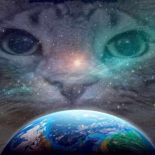 Telegram profile photo for ⲃⲟяⲇⲿⲉⲣ-1