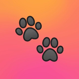 Telegram profile photo for dog's contact