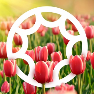 Telegram profile photo for FARFOR Королёв - доставка роллов и пиццы