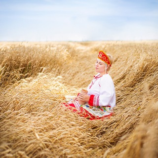 Telegram profile photo for Наши в поле - консалтинговая компания