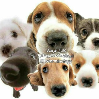 Telegram profile photo for فرهنگ اصطلاحات دامپزشکی