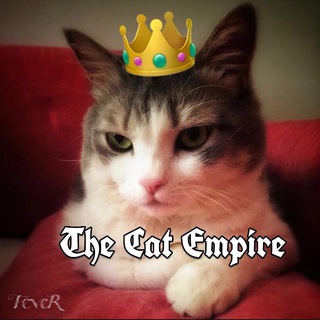Telegram profile photo for ππΌ The Cat Empireβ’οΈ πΌπ