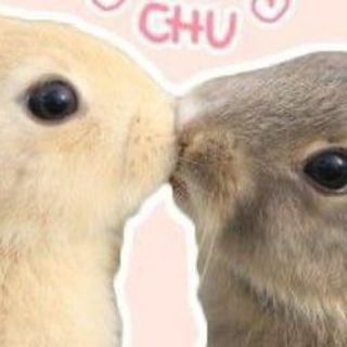 Telegram profile photo for /прогул добро//мопсы.секретный