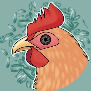 Telegram profile photo for Камера обскурицы
