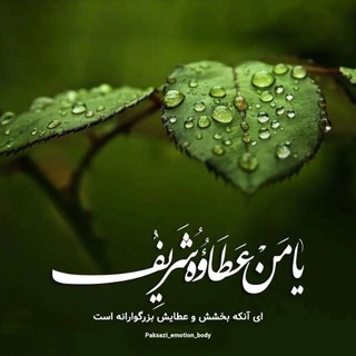 Telegram profile photo for پاکسازی