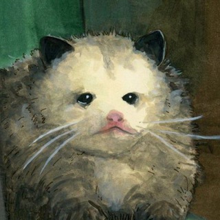 Telegram profile photo for confession по опоссумом