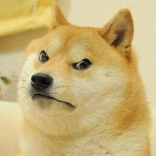 Telegram profile photo for Bonk Patrol (uncensored)