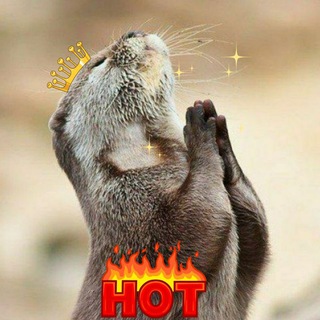 Telegram profile photo for Consígueme Ofertas