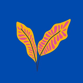 Telegram profile photo for Физика ЦТ/ЦЭ