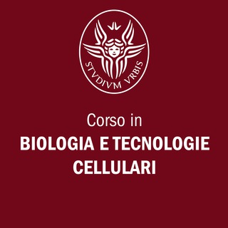 Telegram profile photo for Biologia e Tecnologie Cellulari Sapienza