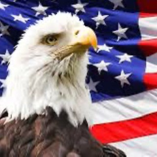 Telegram group profile photo for Patriot Conservative Nation