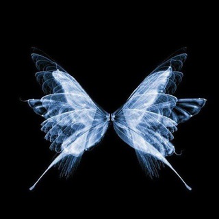 Telegram profile photo for i music 🦋