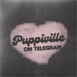 Telegram profile photo for closedown.