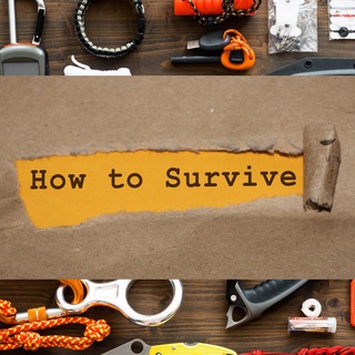 Telegram profile photo for How to Survive - Krisenvorsorge