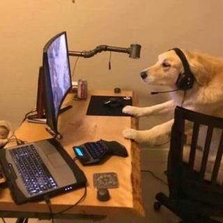 Telegram profile photo for BASED DAVE'S Airdrop Hunters and Calls