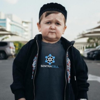 Telegram group profile photo for SentraCell Network