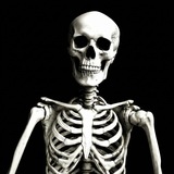 Telegram profile photo for Skeleton