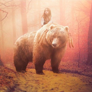 Telegram profile photo for Размышления Медведя