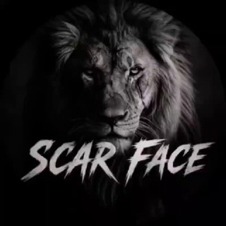 Telegram profile photo for 스카페이스-홍보